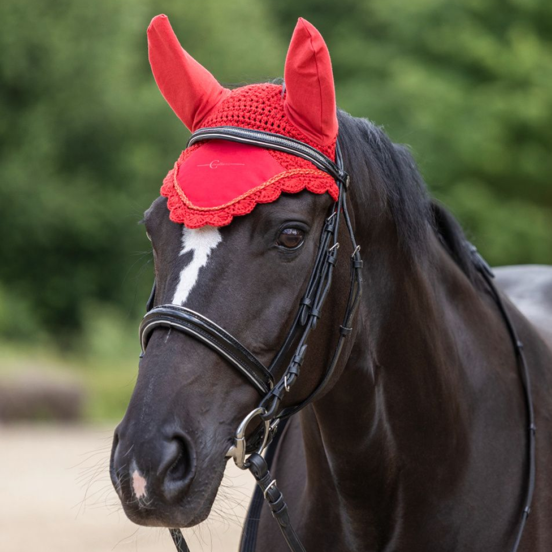 #colour_chili-pepper