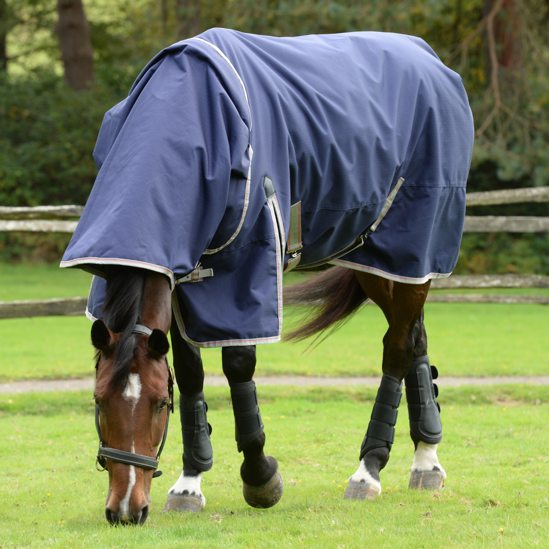 Weatherbeeta Comfitec Essential Detach-A-Neck Lite Plus #colour_navy-silver-red