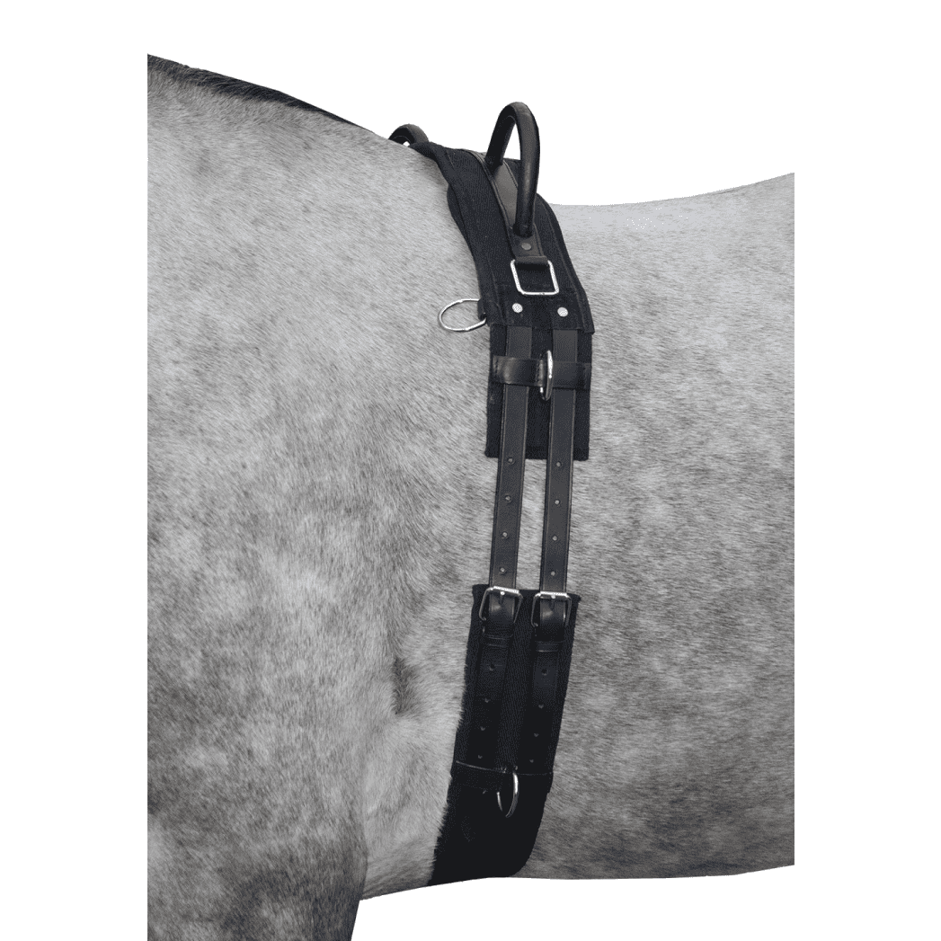 HKM Canvas Lunge Roller With Handle #colour_black