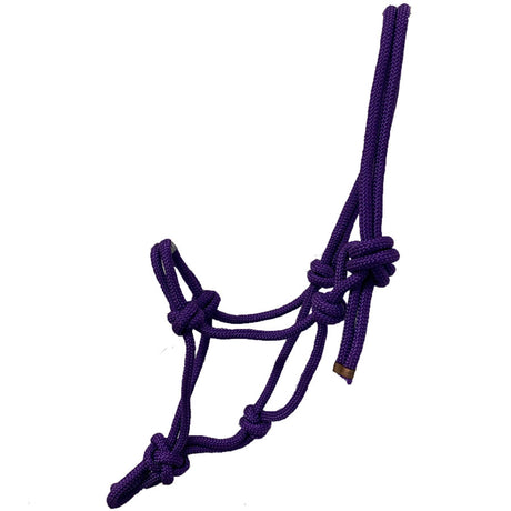 #colour_purple