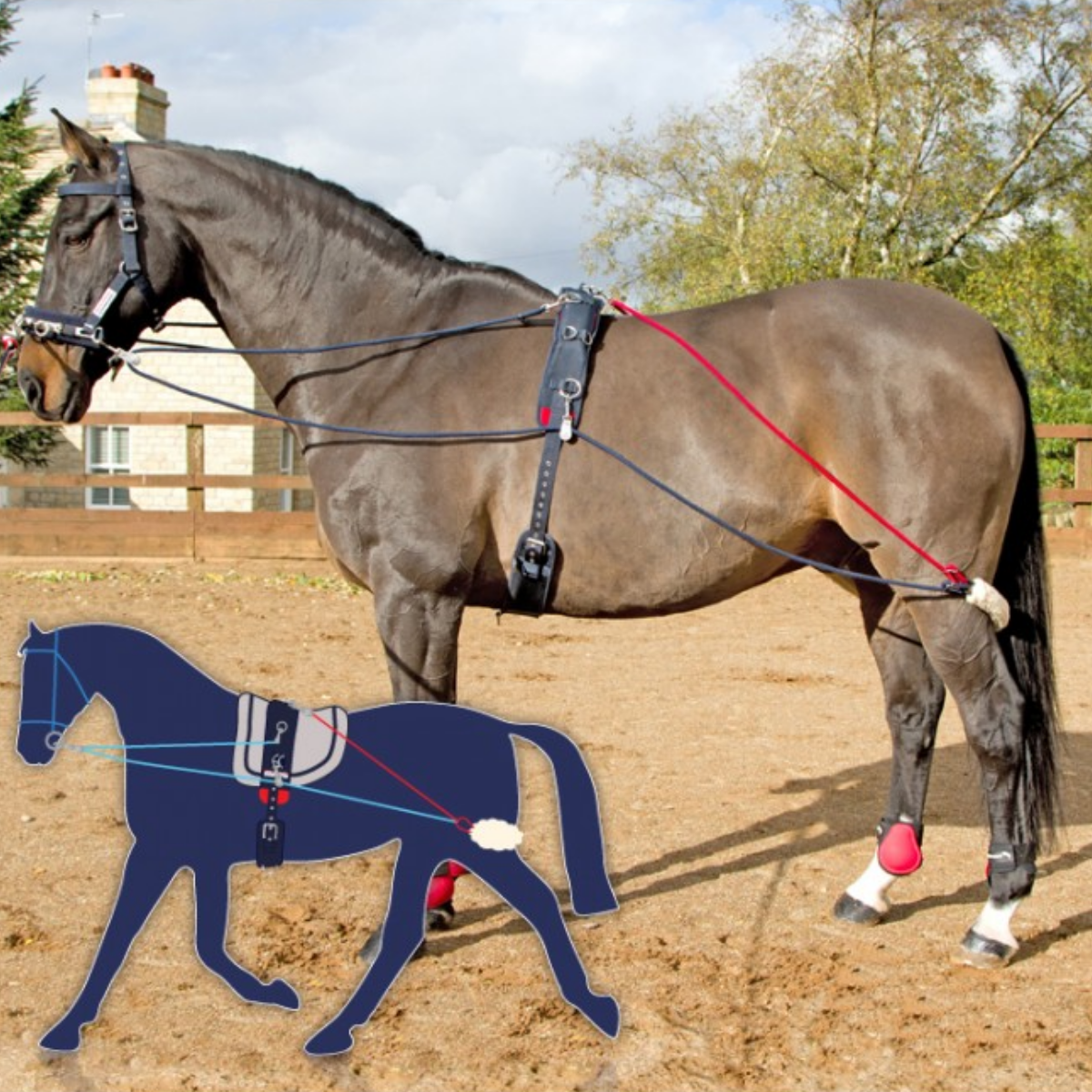 Système de formation John Whitaker