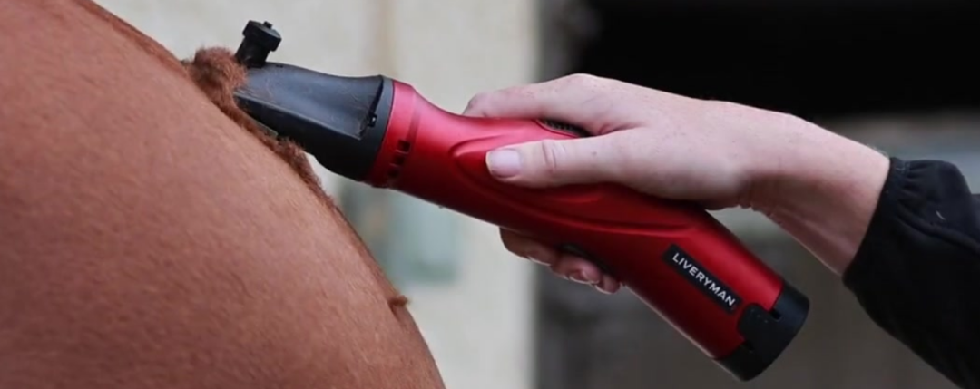 The Phoenix Clipper: Power, Precision, and Innovation