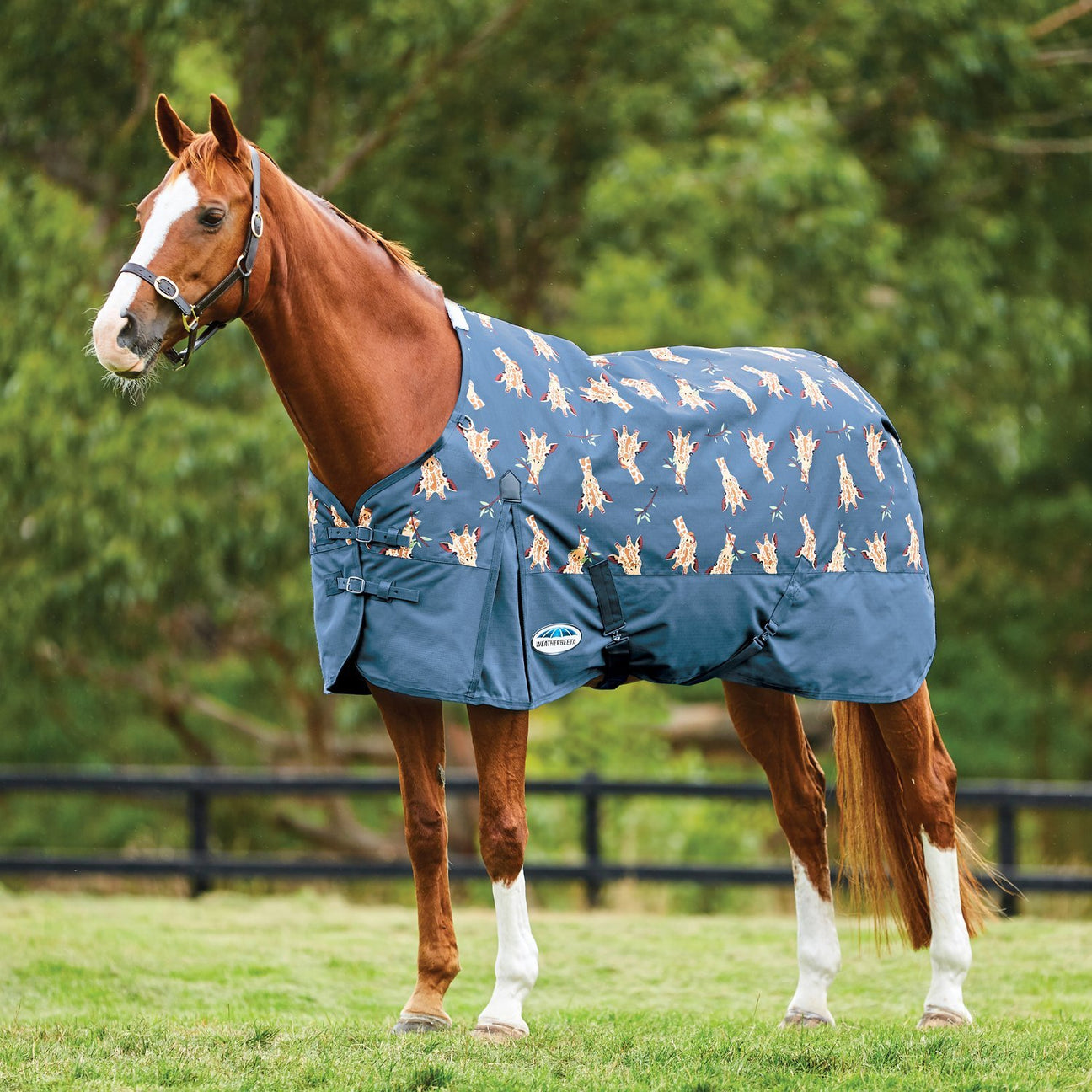 Weatherbeeta Spring/Summer 2021