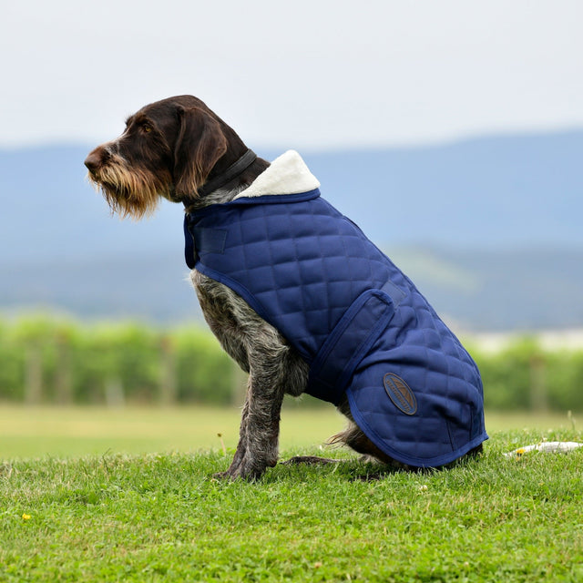 Weatherbeeta Comfitec Deluxe Diamond Quilt Dog Coat #colour_navy