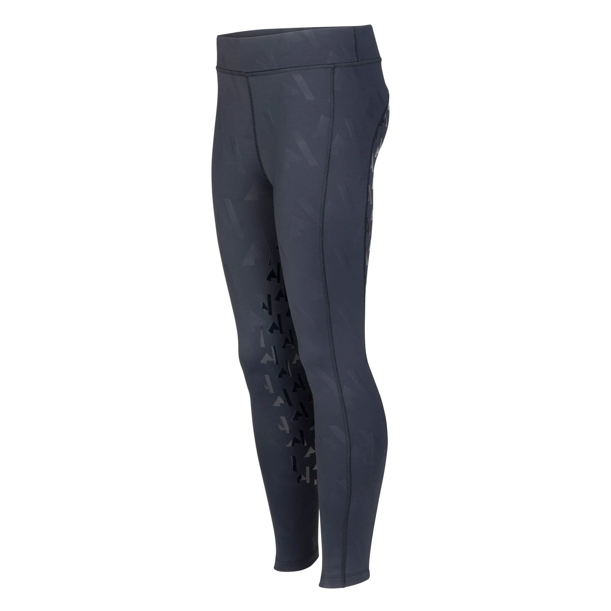 Shires Aubrion Young Rider React Winter Riding Tights #colour_shadow