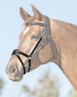Acavallo Flash Noseband Quick Coupling #colour_black