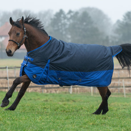 HKM 600D 300g Turnout Rug -Chester- #colour_navy-blue