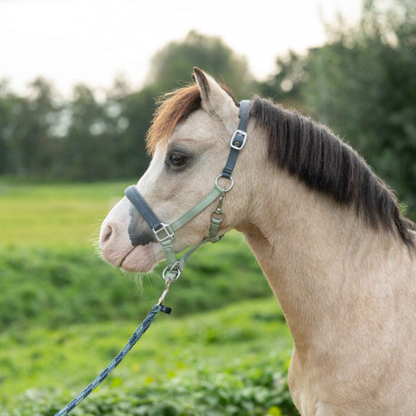 HKM Head Collar -Barnie- #colour_bright-green-dark-green