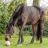 HKM Toy For Horses -Fun- #colour_rose