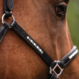 HKM Leather Head Collar -Sparkle-