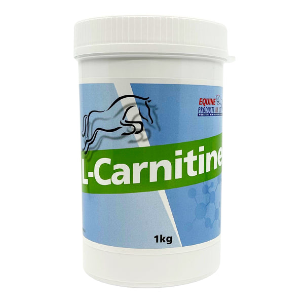 horse l carnitine Equine Products L-Carnitine – GS Equestrian