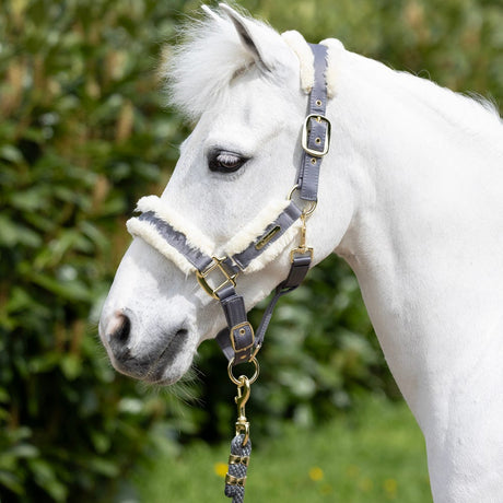 Coldstream Langlee Luxury Head Collar & Lead Rope #colour_grey