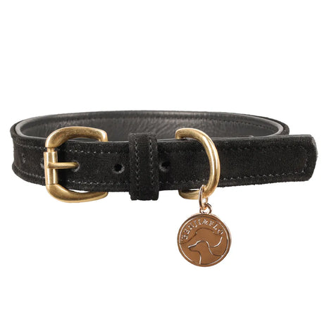 Benji & Flo Noble Suede Dog Collar #colour_black-gold