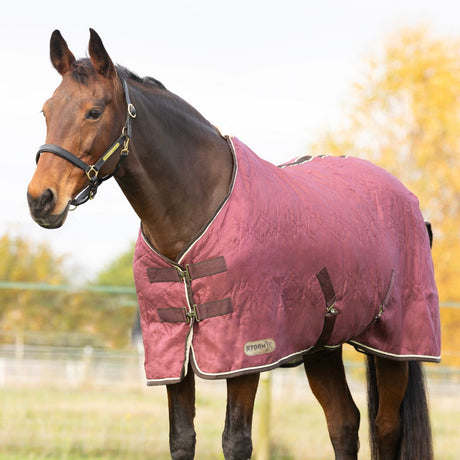 StormX Original Luxury Show Rug #colour_burgundy-cream