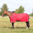 HyCONIC 100g Turnout Rug #colour-red/charcoal