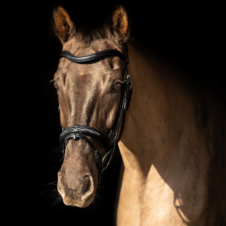ProPresicce Pelle Raised Flash Leather Bridle by Hy Equestrian #colour_black-silver