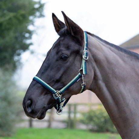 Hy Equestrian Trinity Head Collar #colour_navy-green-light-green