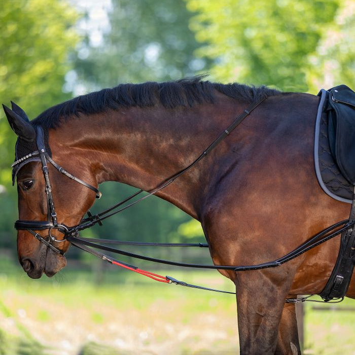 Waldhausen Draw Reins W-Trainrein