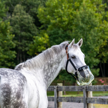 ThinLine Flexible Filly Grazing Muzzle