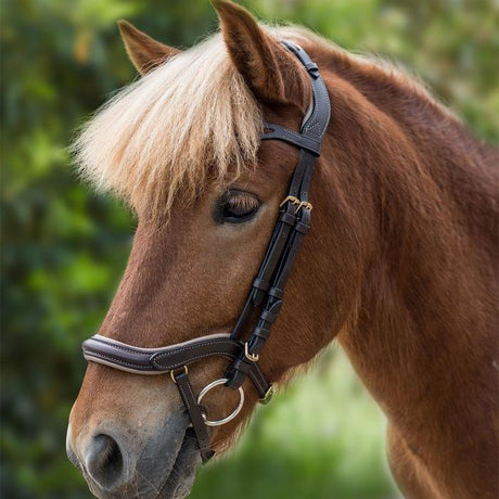 Waldhausen Anatomic Icelandic Bridle #colour_brown