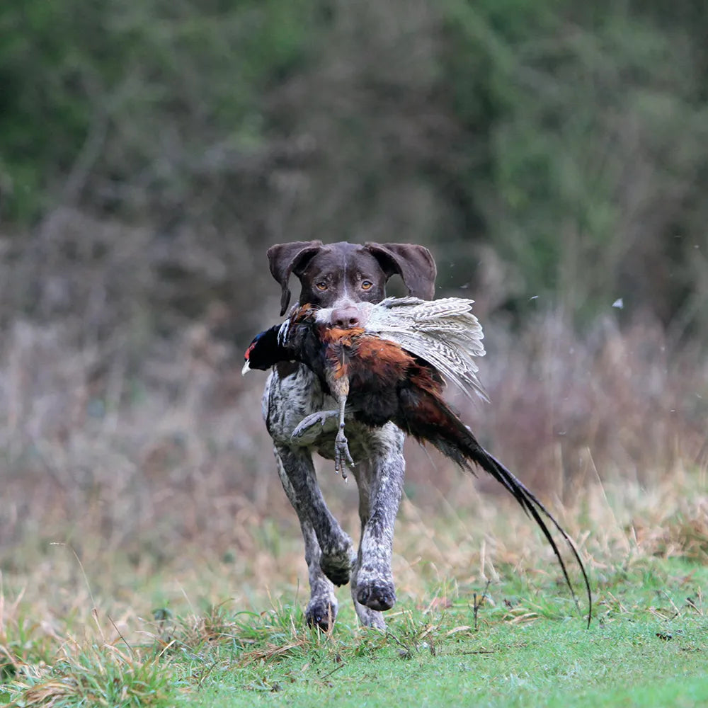 Kevin Milner Countryside Cards #style_working-pointer