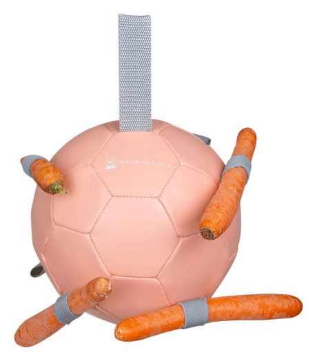 Waldhausen Carrot Ball #colour_linnea-pink