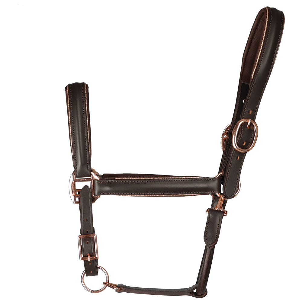 Hy Equestrian Chromatic Leather Head Collar – GS Equestrian