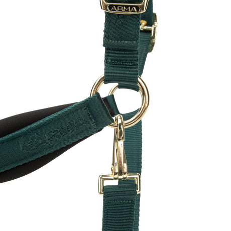 Shires ARMA Padded Headcollar #colour_green