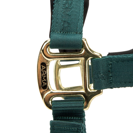 Shires ARMA Padded Headcollar #colour_green