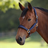 Shires ARMA Padded Headcollar #colour_navy