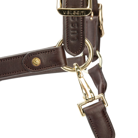 Shires Velociti Lusso Soria Leather Headcollar #colour_havana