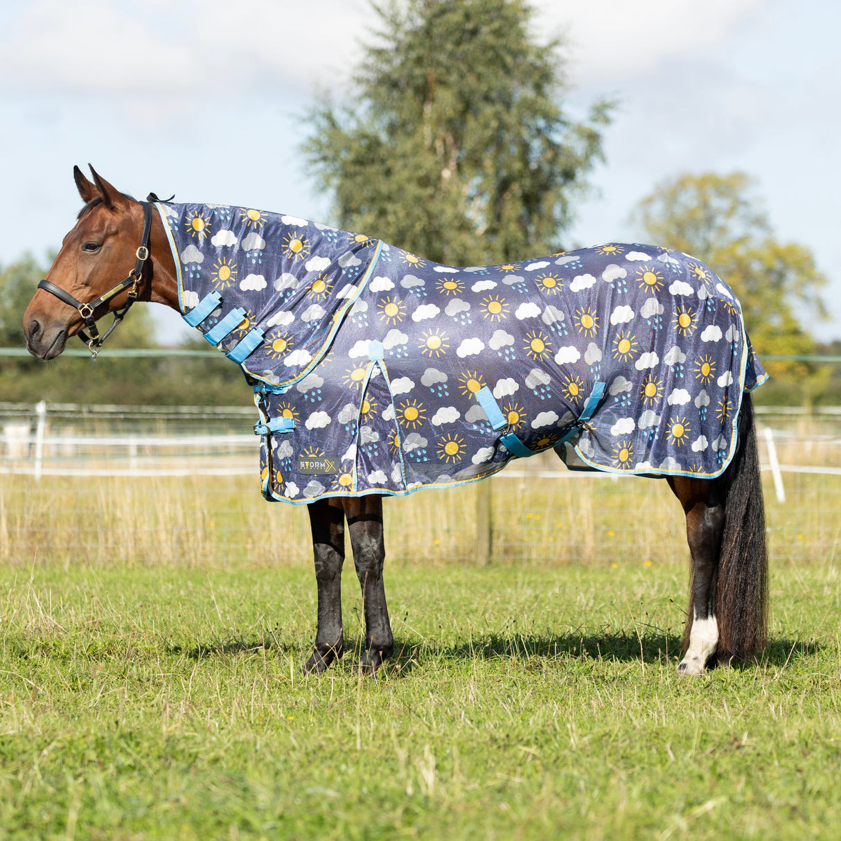 StormX Original Come Rain or Shine Combi Fly Rug