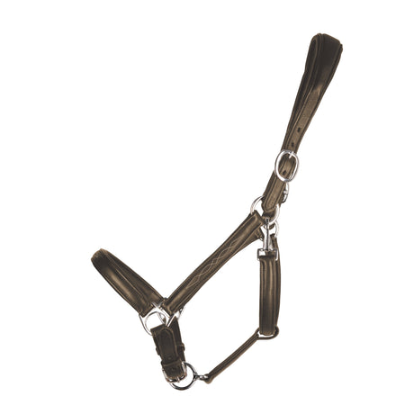 ProPresicce Softy Leather Head Collar by Hy Equestrian #colour_brown-silver