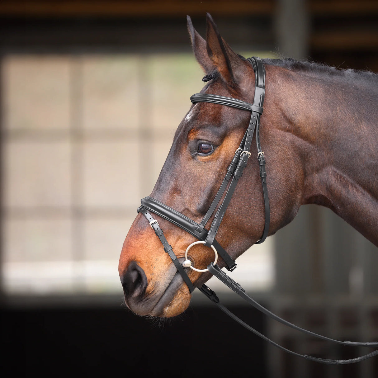 Shires Velociti GARA Comfort Fit Bridle #colour_black