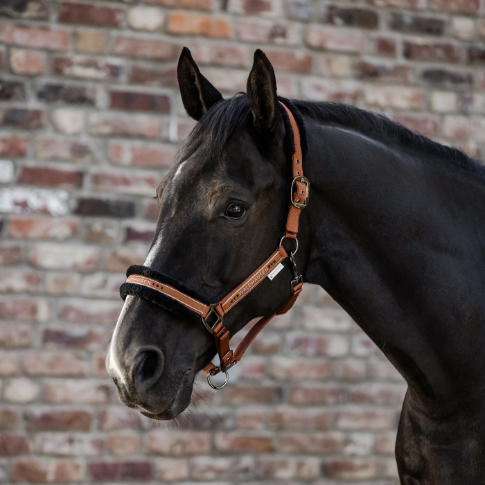 Waldhausen Elegant Halter #colour_cinnamon