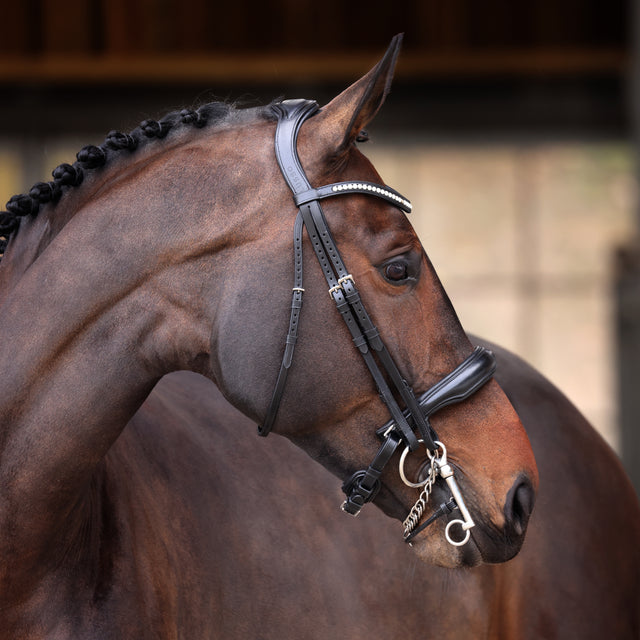 Shires Velociti Lusso Elite Double Bridle #colour_black