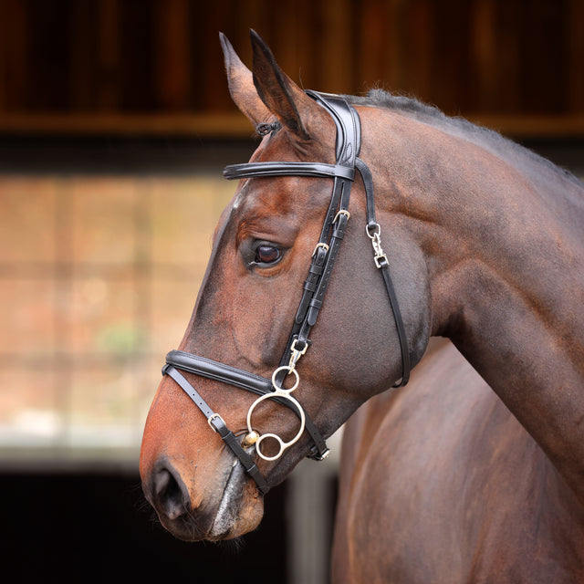 Shires Velociti Rapida Training Bridle #colour_black