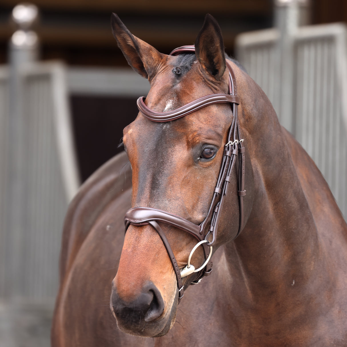 Shires Velociti Lusso Elite Flash Bridle #colour_havana