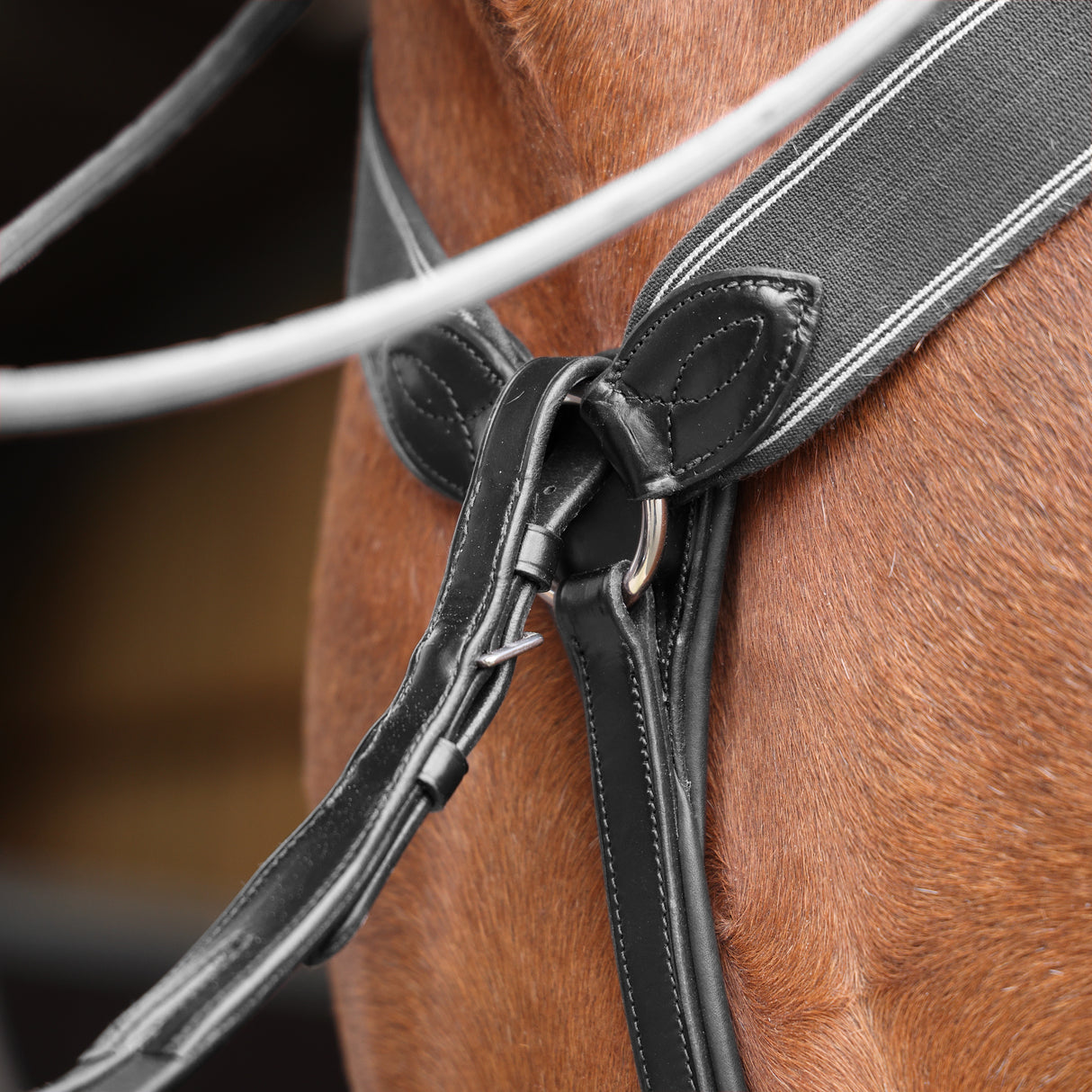 Shires Lusso Three Point Elastic Breastplate #colour_black