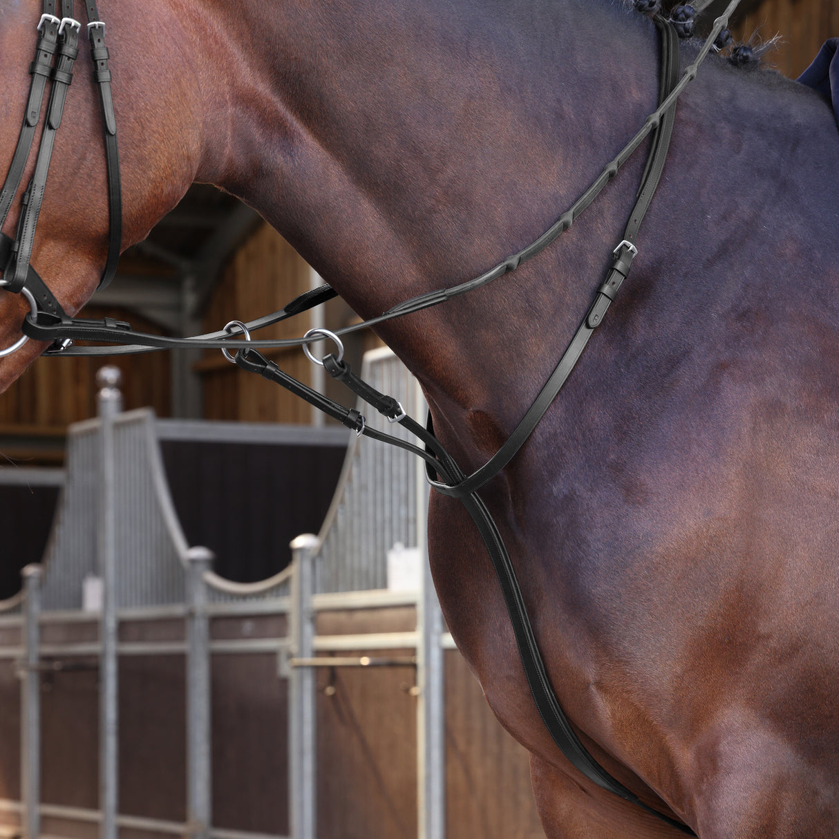 Shires Velociti LUSSO Elite Running Martingale #colour_black