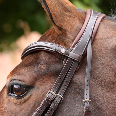 Shires Velociti LUSSO Opus 180M Padded Flash Bridle #colour_havana