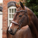 Shires Velociti LUSSO Opus 180M Dressage Cavesson Bridle #colour_havana