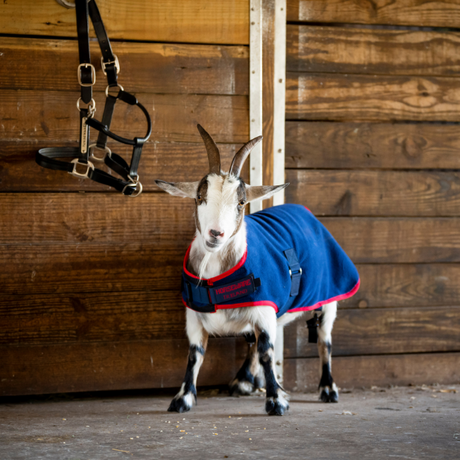 Horseware Ireland Goat Fleece #colour_navy-red