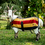 Horseware Ireland Newmarket Goat Fleece #colour_whitney-gold