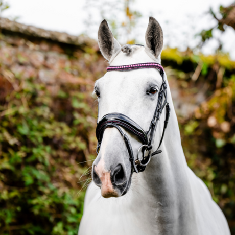 Horseware Ireland Diamante Flash Bridle #colour_black-pink