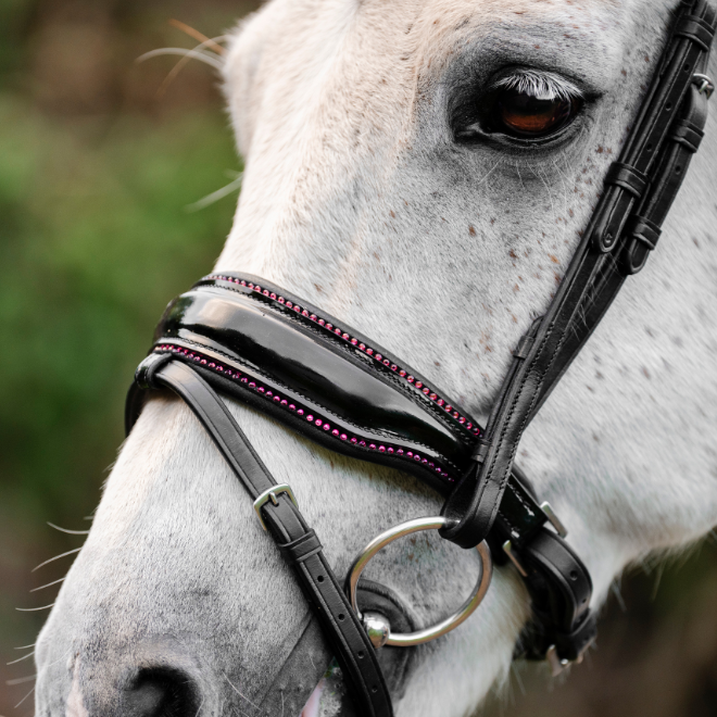 Horseware Ireland Pony Diamante Flash Bridle #colour_black-pink