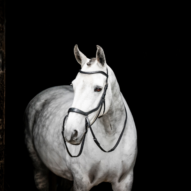 Horseware Ireland Micklem Bitless Bridle #colour_black