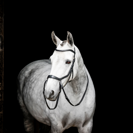 Horseware Ireland Micklem Bitless Bridle #colour_black