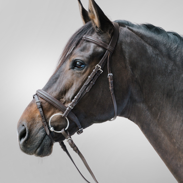 Waldhausen Bridle Lifestyle #colour_brown-brown