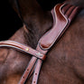 HV Polo Legacy Bridle #colour_brown
